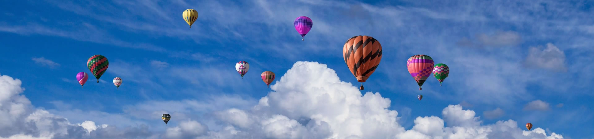 米乐体育怎样介绍